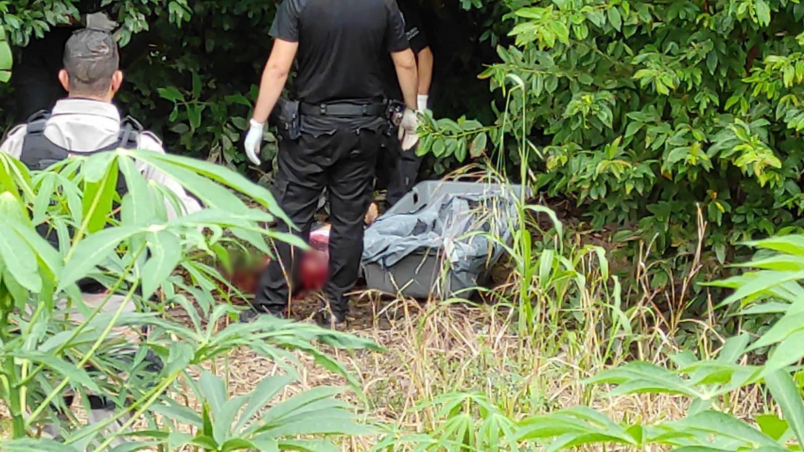 Jovem que foi torturado até morrer é encontrado degolado próximo a igarapé no AC