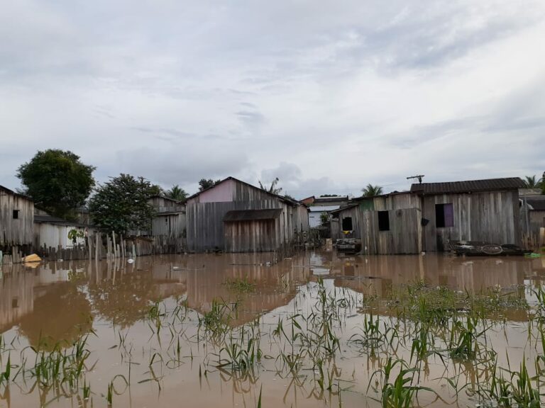 Chegando ao transbordamento, cheia do Rio Iaco já atinge 5 bairros em Sena Madureira