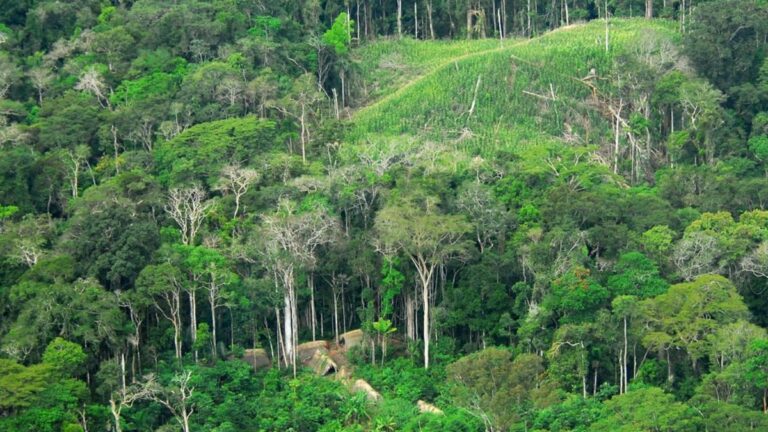 No Acre, tecnologia revela aldeias indígenas antigas