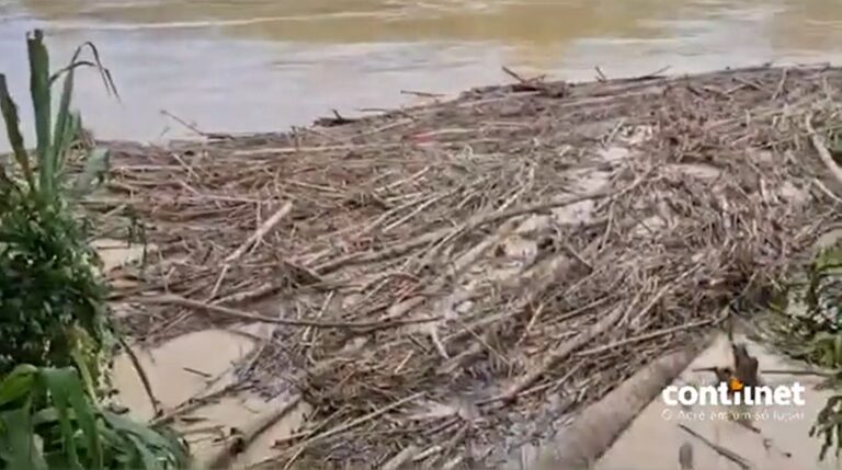 Balseiros acumulados em pilares de ponte em Sena tomam metade do Rio Iaco