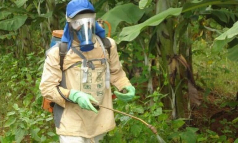 Governo federal aprova 67 agrotóxicos; sete são extremamente tóxicos para o ser humano