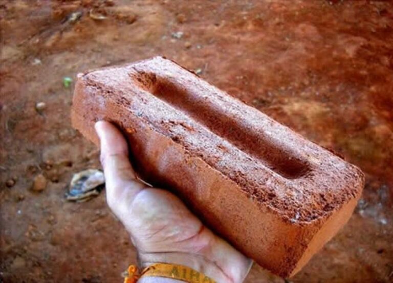 Briga em bebedeira acaba com rapaz agredido a tijolada pelo companheiro