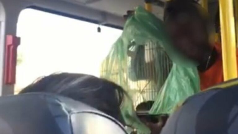 Homem usa rato para tentar assaltar ônibus: “Vou soltar meu amiguinho”; assista