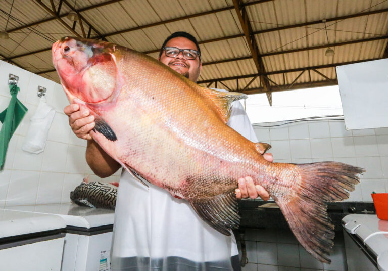 Sem Feira do Peixe na Capital, produtores venderão o pescado na quinta-feira, no Ceasa