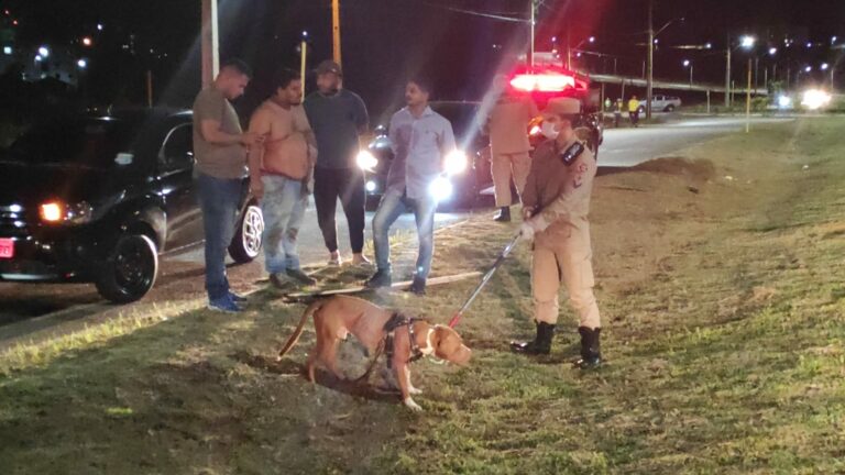Pitbull ataca o próprio dono e vizinho durante caminhada em Rio Branco