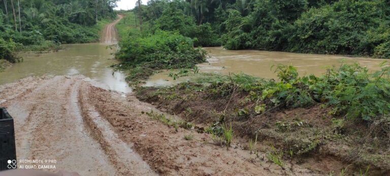 Com aumento no nível do Rio Iaco, igarapés já começam a transbordar em Sena