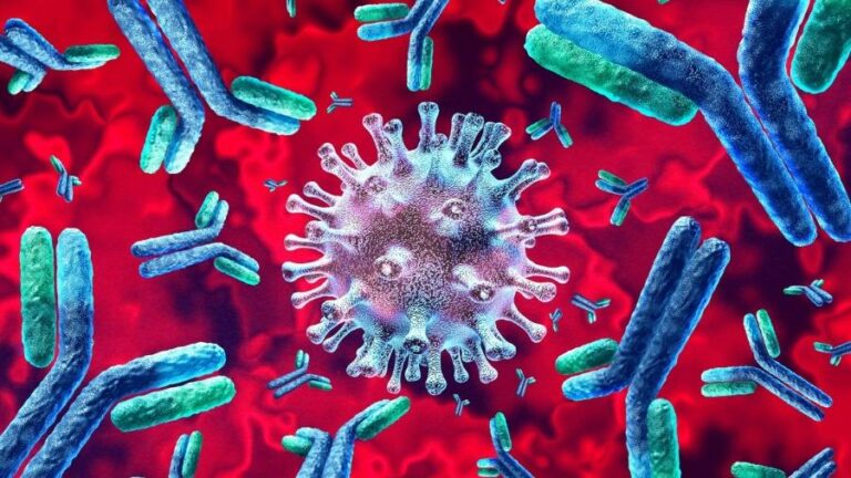 Sobreviventes da Covid têm risco maior de morrer após a infecção, aponta estudo