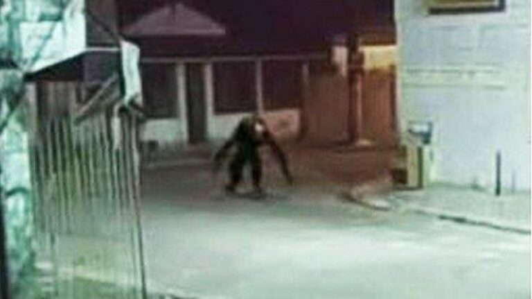 Boato de “criatura estranha” circulando pela Bahia assusta moradores