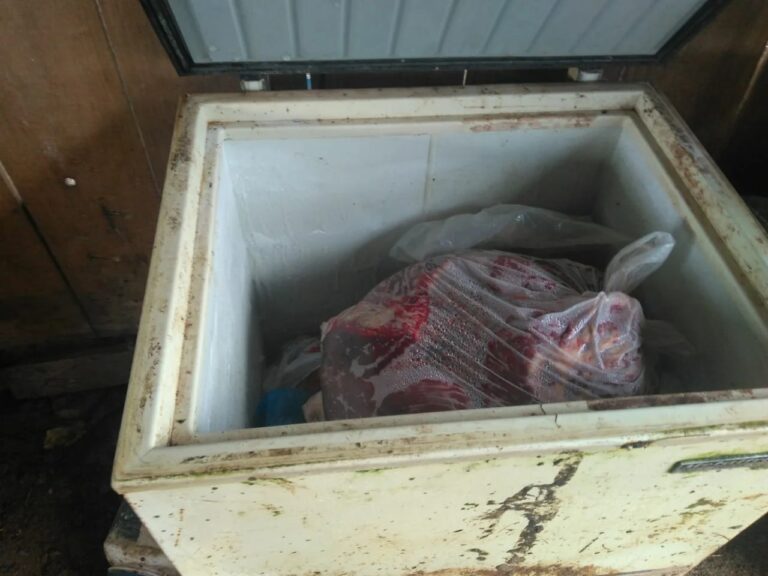 Após denúncias, homem é preso em abatedouro clandestino de cavalos