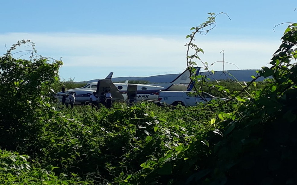 Avião com doses da vacina da covid-19 bate em jumento que estava em pista de aeródromo
