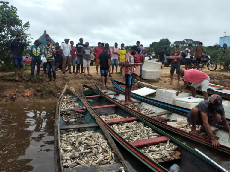 Cruzeiro do Sul tem piracema de mandim e quilo do pescado é vendido a R$ 10