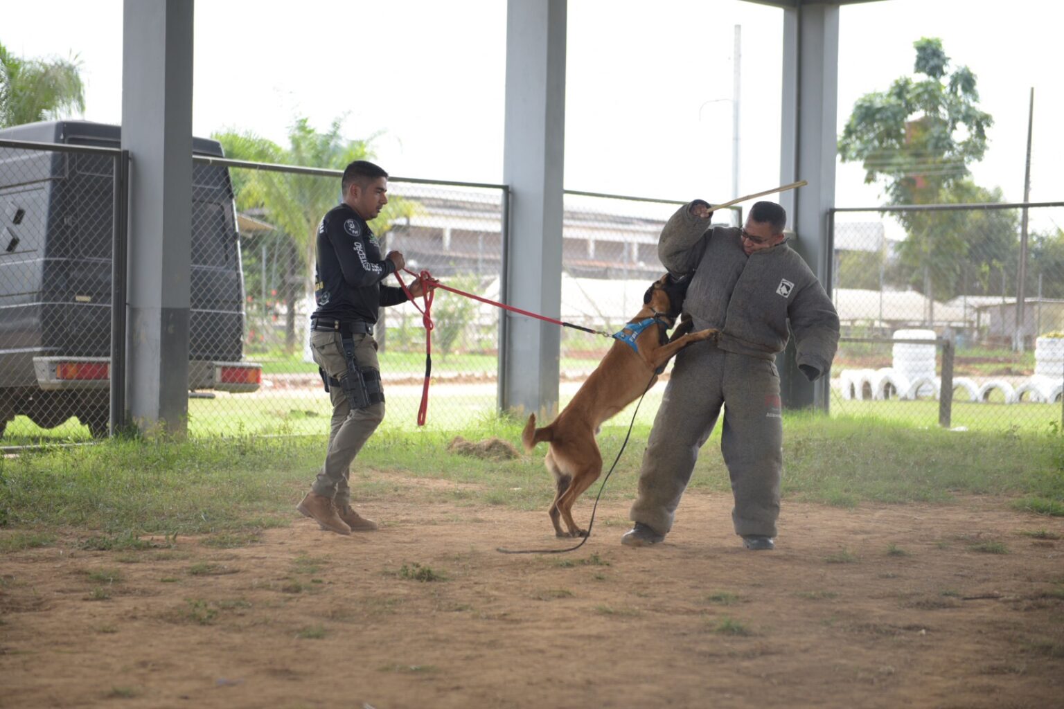 Treinamento com cães-policiais da Polícia Militar do Acre