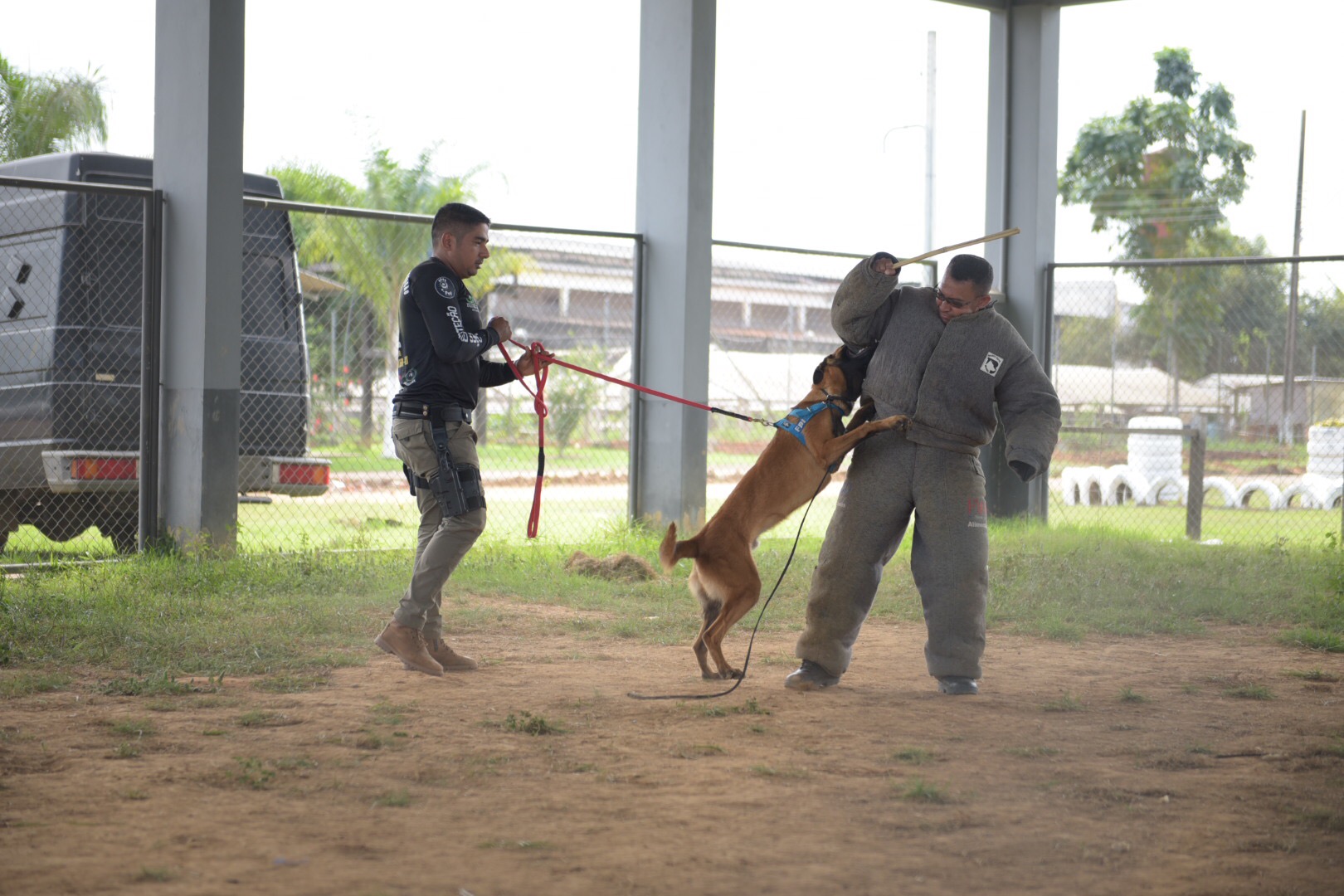Treinamento com cães-policiais da Polícia Militar do Acre