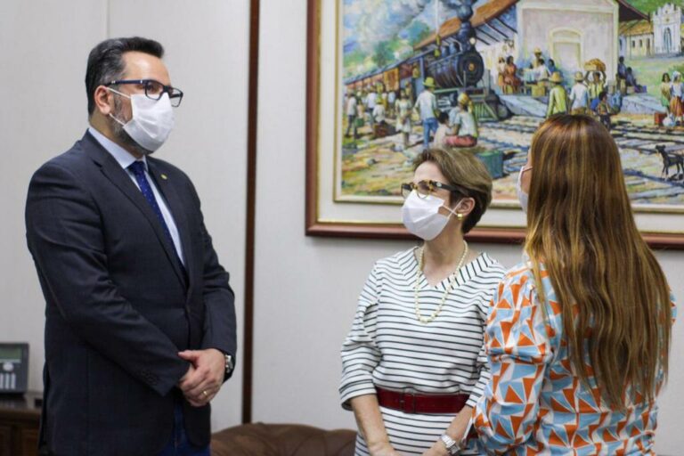 Alan Rick reúne-se com ministra da Agricultura e pede apoio no fortalecimento da produção rural