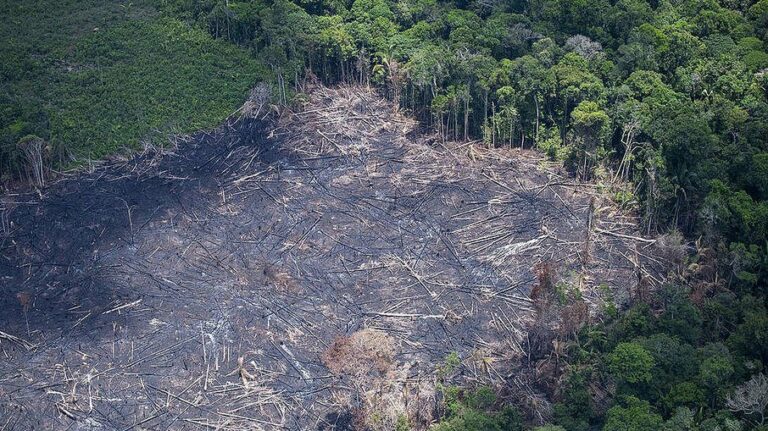 Desmatamento em março na Amazônia é o maior em 10 anos