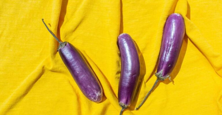 Bebê nasce com três pênis, pela primeira vez na história