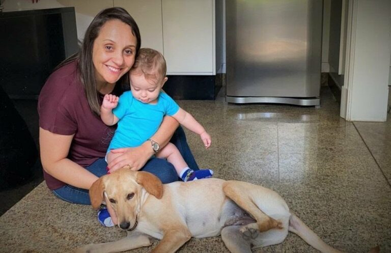 Deputada propõe a criação de ‘SUS’ e farmácia popular para pets