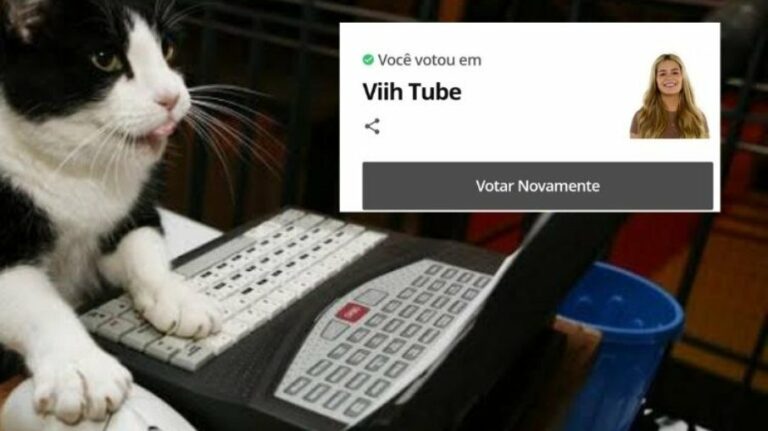 BBB21: Gatos fazem campanha pela eliminação de Viih Tube