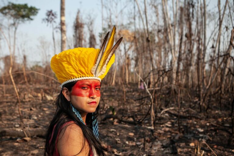 Índios são os verdadeiros guardiões das florestas