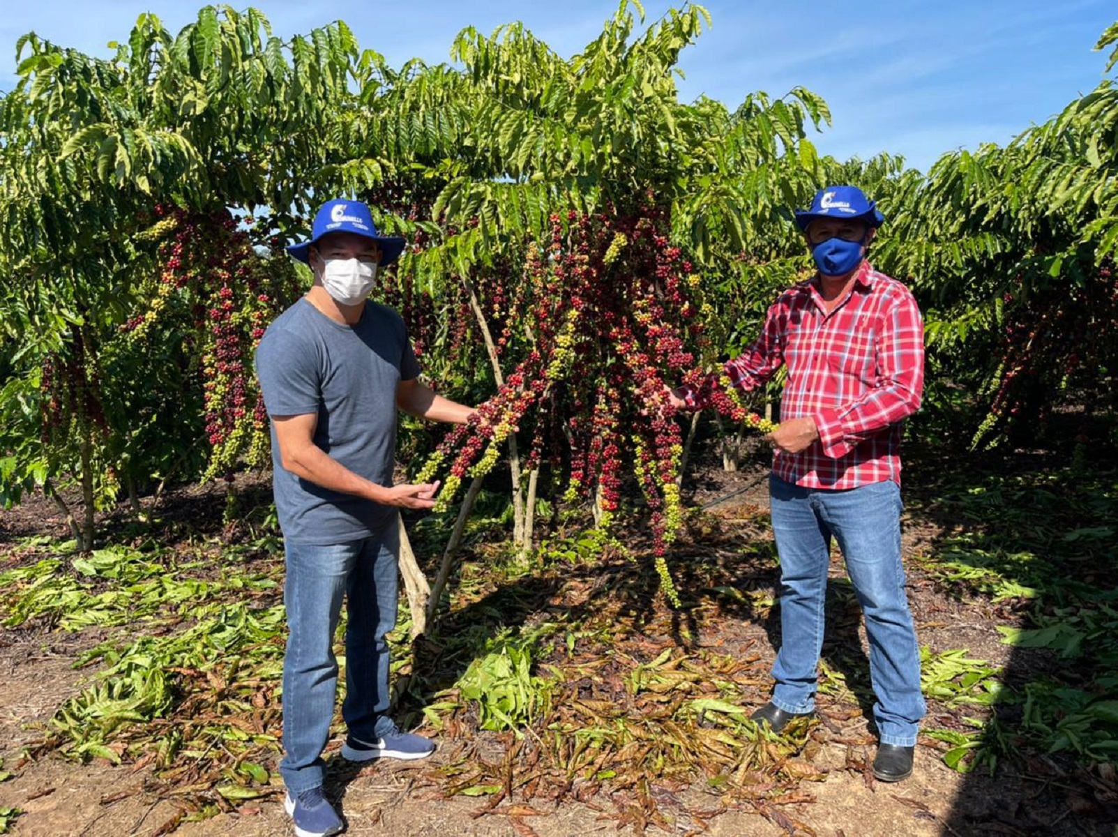 Deputado Roberto Duarte vai à Acrelândia conhecer cultivo de café clonal