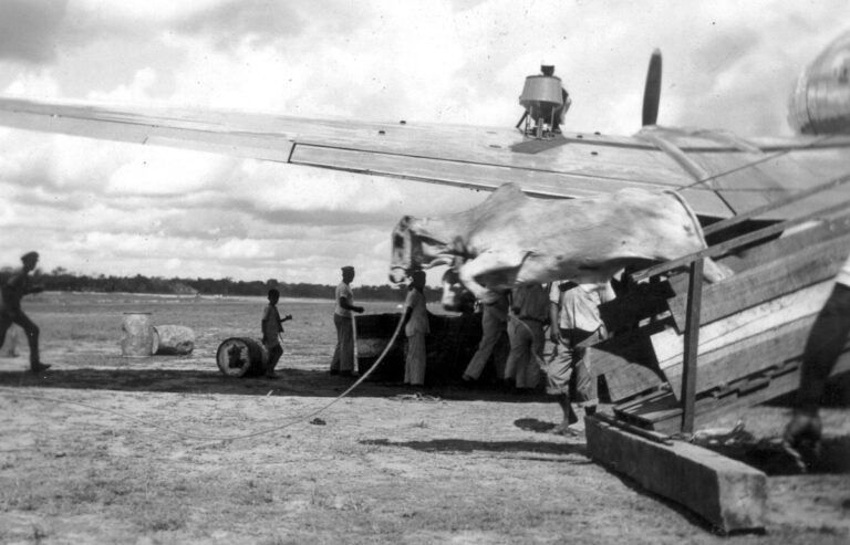 Carne cara e bois transportados em aviões: a pecuária no Acre de antigamente