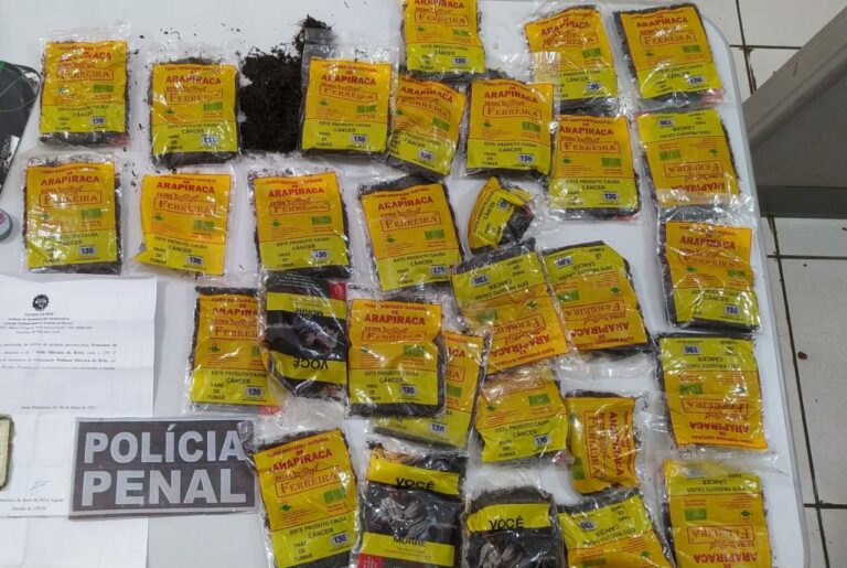 30 pacotes de tabaco são apreendidos dentro de colchão em presídio de Sena
