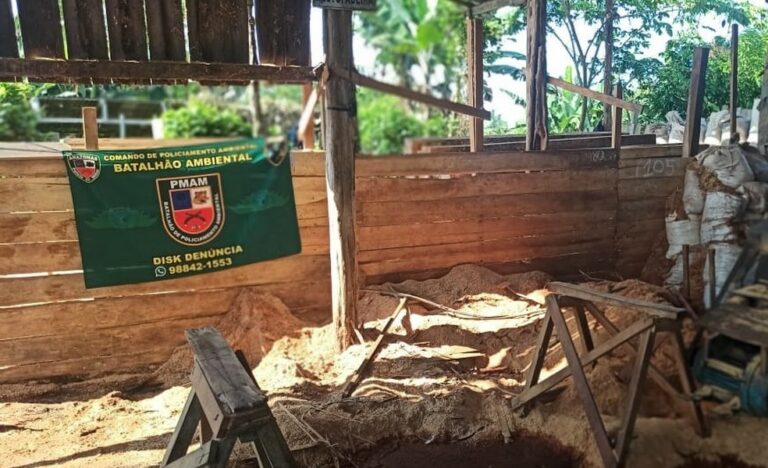 Polícia fecha serraria clandestina e apreende madeira ilegal em Manacapuru