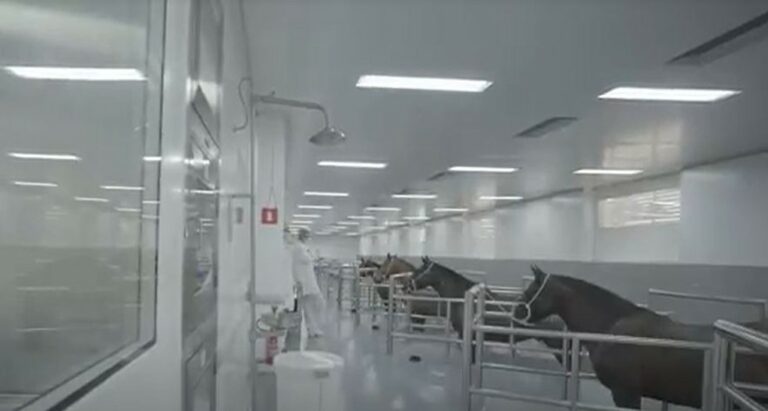 Anvisa autoriza testes do soro anti-Covid desenvolvido pelo Butantan