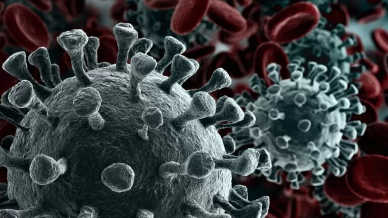 Maranhão confirma 1º caso de covid-19 no Brasil provocado por cepa indiana