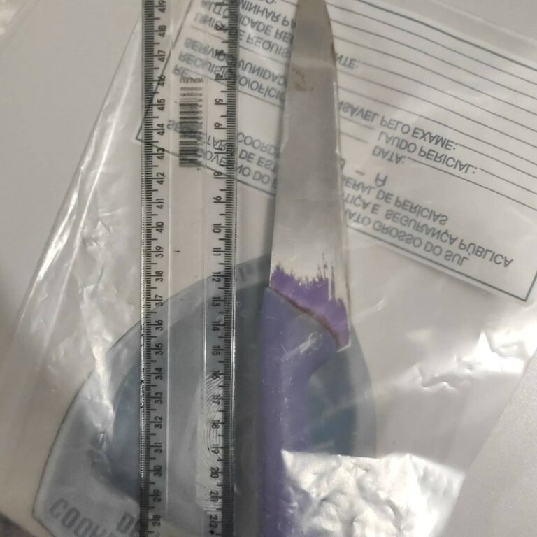 Adolescente de 13 anos mata namorado da mãe com facada no pescoço: ‘Estava bêbada’, diz polícia