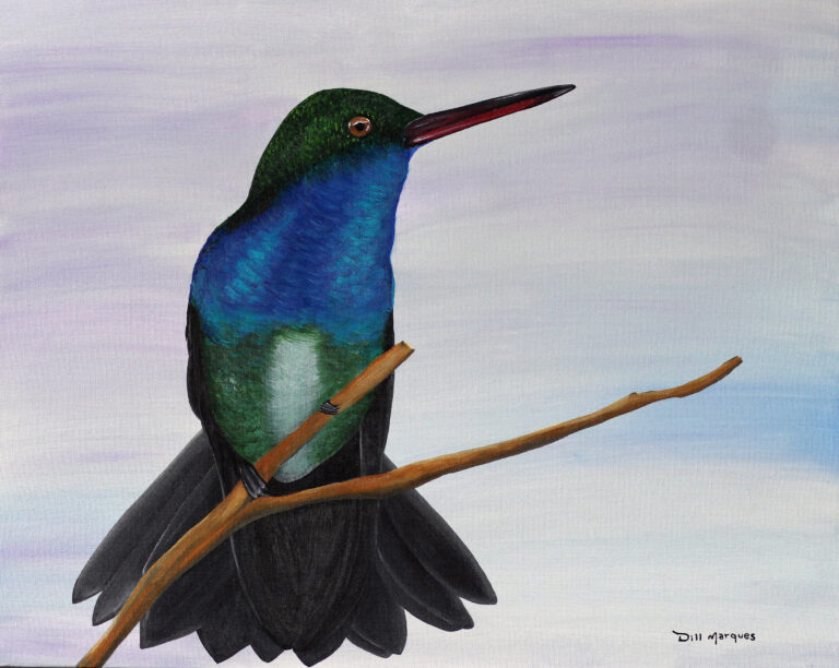 Arte Ambiental: exposição da artista Dill Marques apresenta espécies de aves acreanas