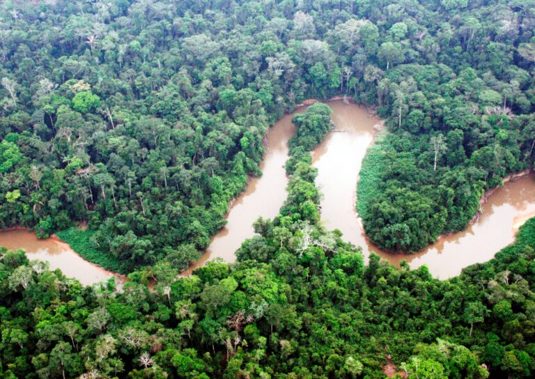 Floresta nacional do Bom Futuro na fronteira com o Acre