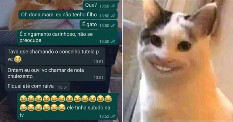Mulher acha que gato de vizinha é filho e quase chama Conselho Tutelar por xingamentos