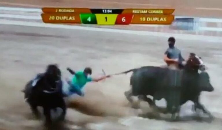 Imagens fortes: vaqueiro morre após ser arrastado por um boi durante vaquejada; veja vídeo