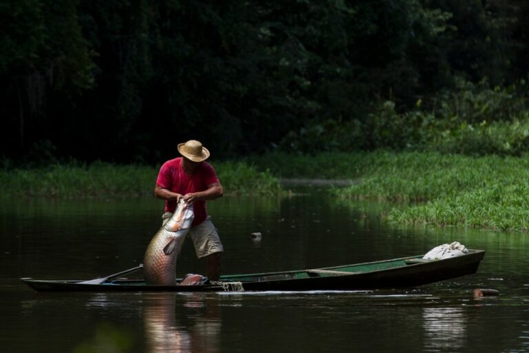 Fotógrafo lança livro com cenas do manejo de pirarucu no Amazonas