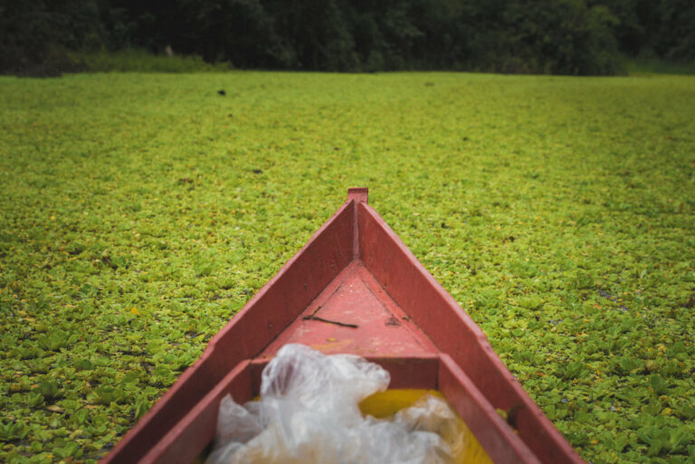 Rio Crôa, em Cruzeiro do Sul
