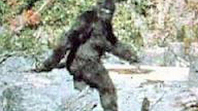 Estado dos EUA pagará recompensa de US$ 3 milhões por captura do ‘Pé Grande’