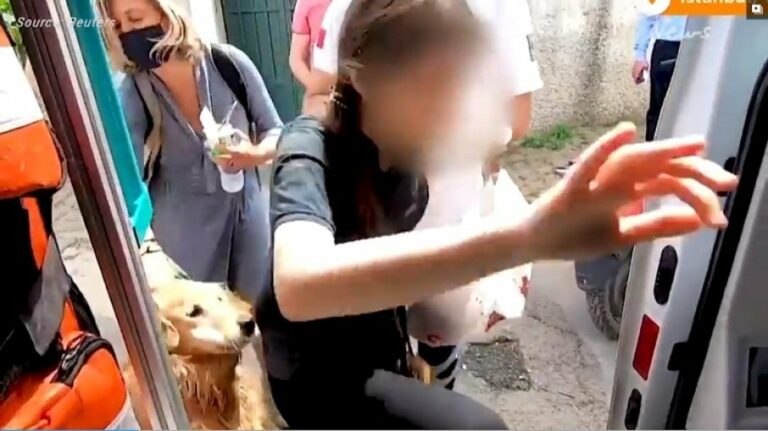 Vídeo: cachorro segue ambulância que levava sua tutora até hospital
