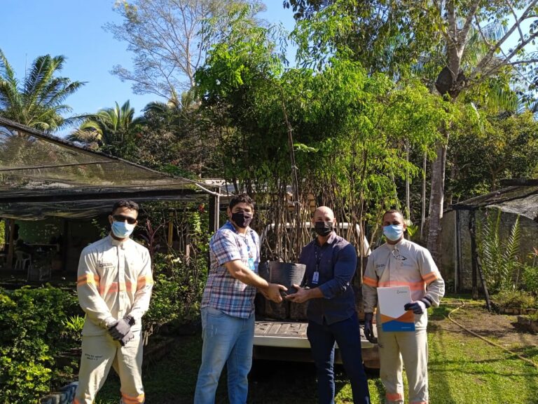 Energisa doa mudas para revitalização da Av. Tiradentes em Porto Velho