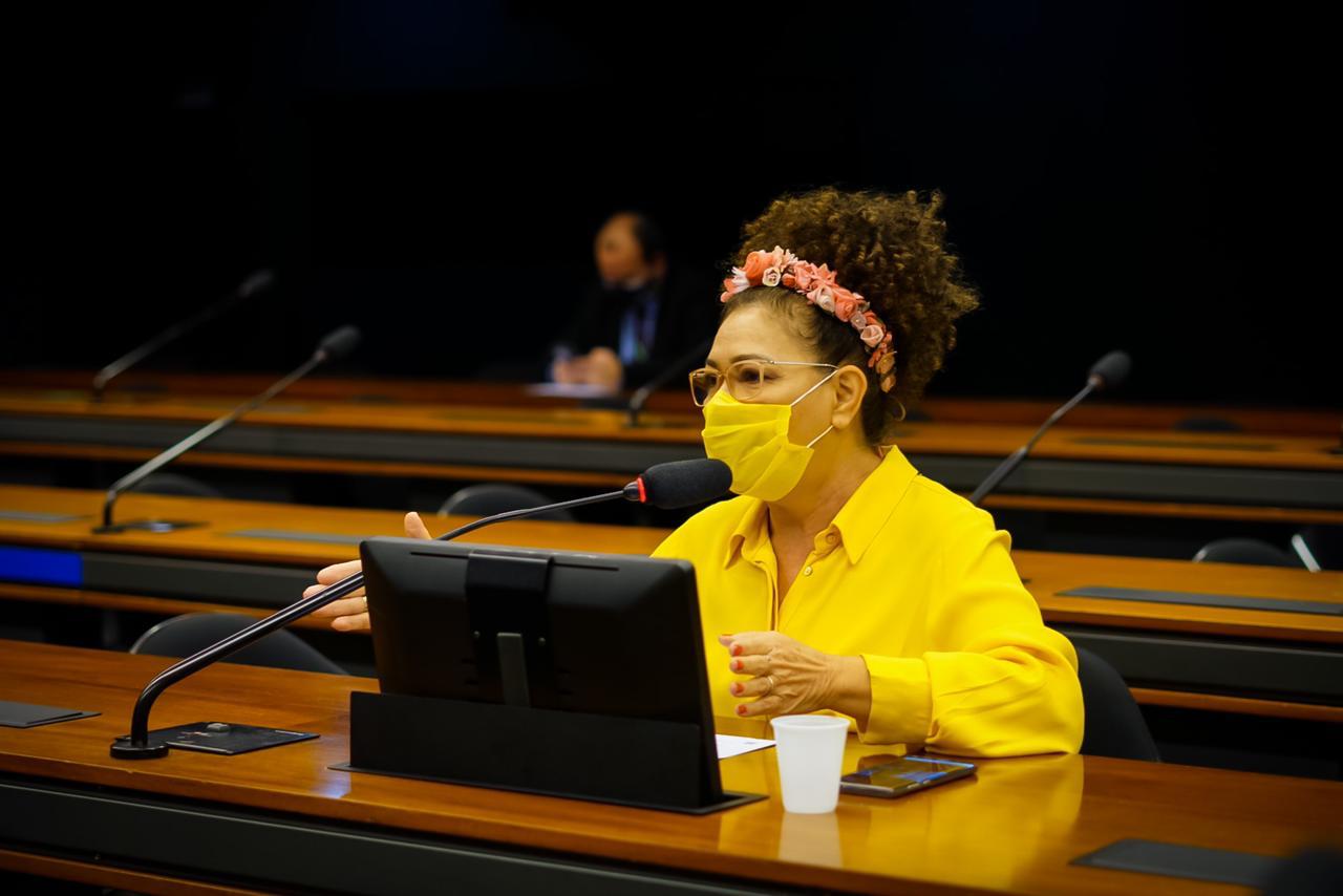 Perpétua defende medida que facilita crédito bancário na pandemia; MP é aprovada