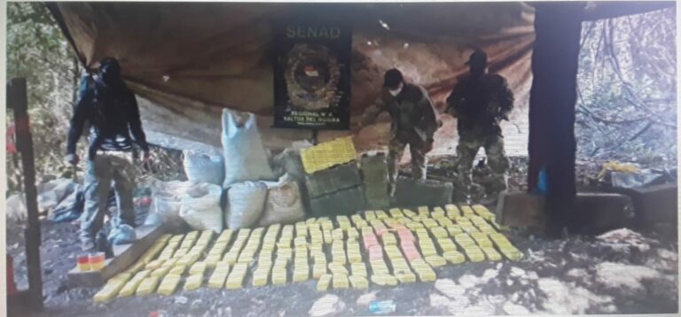 Polícia destrói 1,2 toneladas de droga cultivada em terra indígena no MS