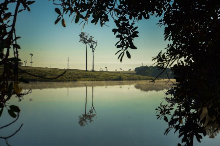 Amanhecer em fazenda no interior do Acre