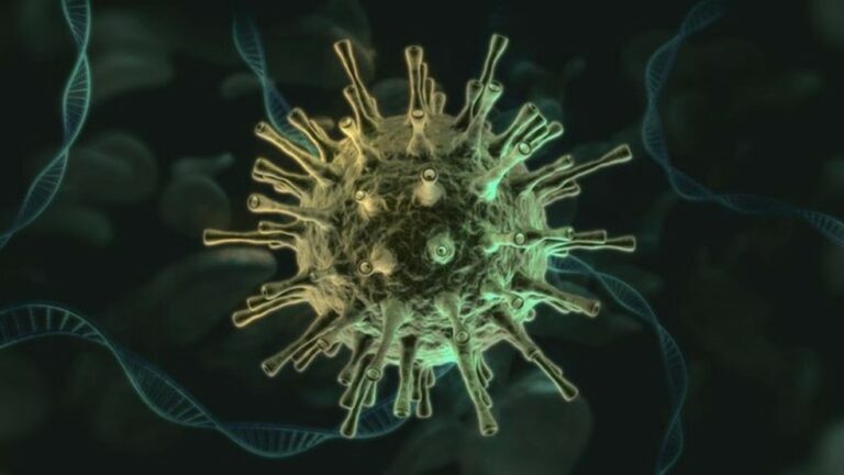 Grávida de 42 anos é a 1ª morte relacionada à variante delta no Brasil, diz ministério