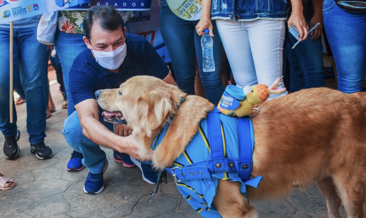 Aleac aprova dois projetos de Roberto Duarte; um deles pune autor de maus tratos animais