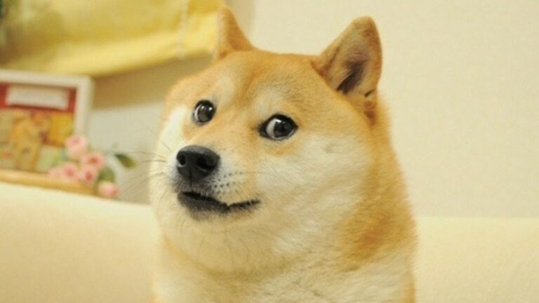 Doge é vendido por R$ 20 milhões em leilão e se torna o meme mais caro da história