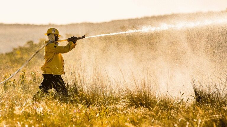 Processo seletivo ICMBio 2021: editais e inscrições; 163 vagas