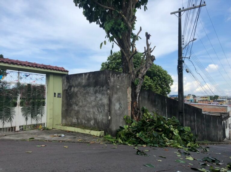 Homem fica ferido após levar descarga elétrica ao podar árvore em Manaus