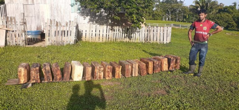 Extrativismo: Preço do quilo da borracha salta de 8 para 10 reais em Sena Madureira 