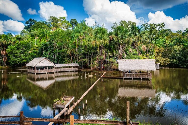 Casa do Sr. Dimas, no início da trilha Chico Mendes, em Brasileia