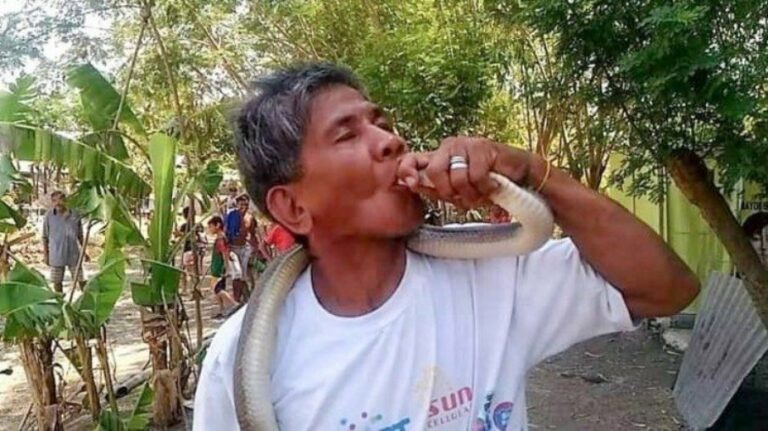 Homem que se dizia imune ao veneno de serpentes morre após picada na língua